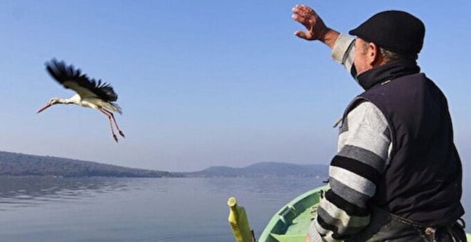 Yaren leylek herkesi şaşırttı. Bu yıl Eylül’ü beklemeden Afrika’ya doğru gitti!