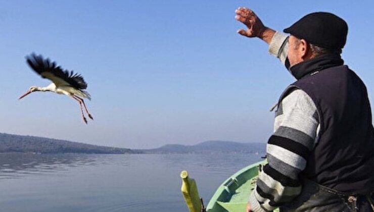 Yaren leylek herkesi şaşırttı. Bu yıl Eylül’ü beklemeden Afrika’ya doğru gitti!