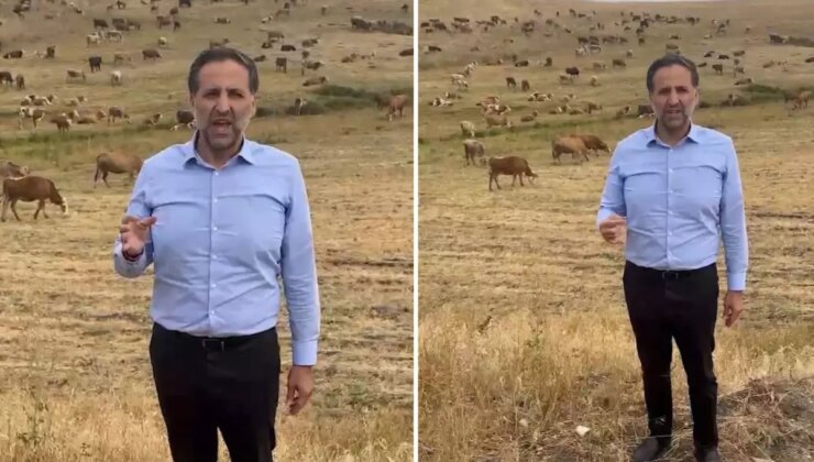 Arkasına hayvan sürüsünü alan vekil, Bakan Yumaklı’ya seslendi: Bu zararı karşılayın