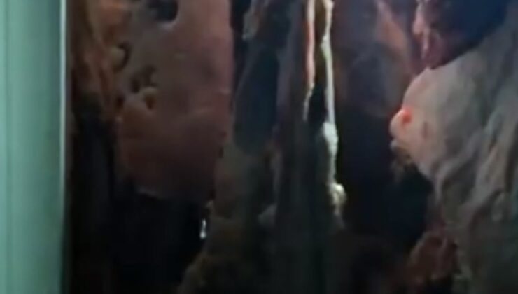 Bir şehrin konuştuğu skandal! Yakalanmasa akşam sofralarımıza gelecekti