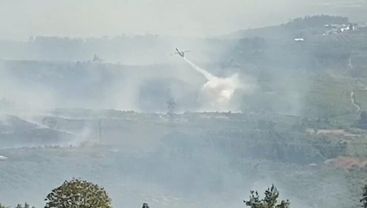 Bursa’da ormanlık alanda alevler yükseldi