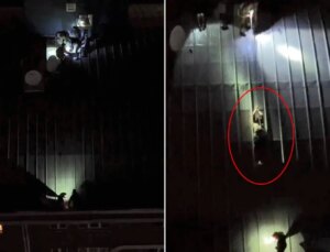 Çatıya çıkan komşu kızını kurtarmak isteyen 2 kişi düştü