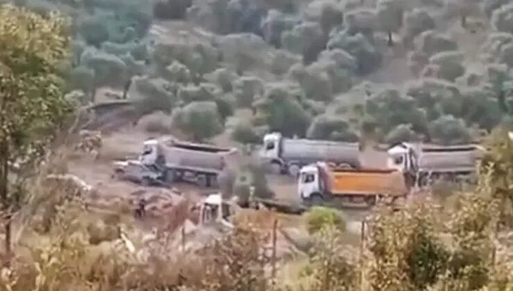 CHP’li Tanal’dan Akbelen tepkisi