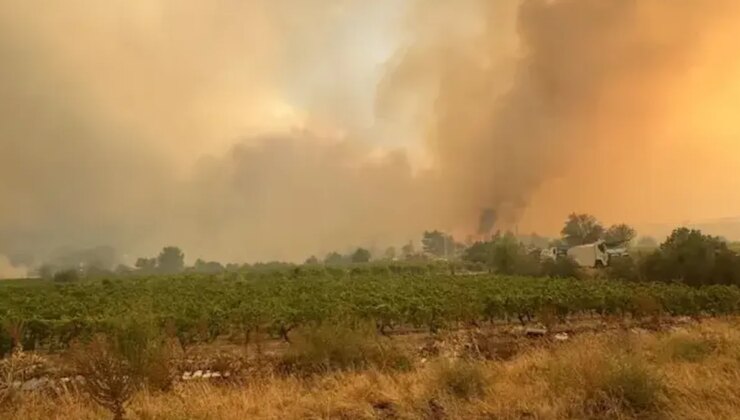 İki kentin birleştiği noktada yangın kabusu