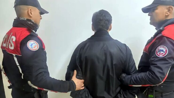 Kedilere eziyet edip, örgüt propagandası yapan platforma operasyon!