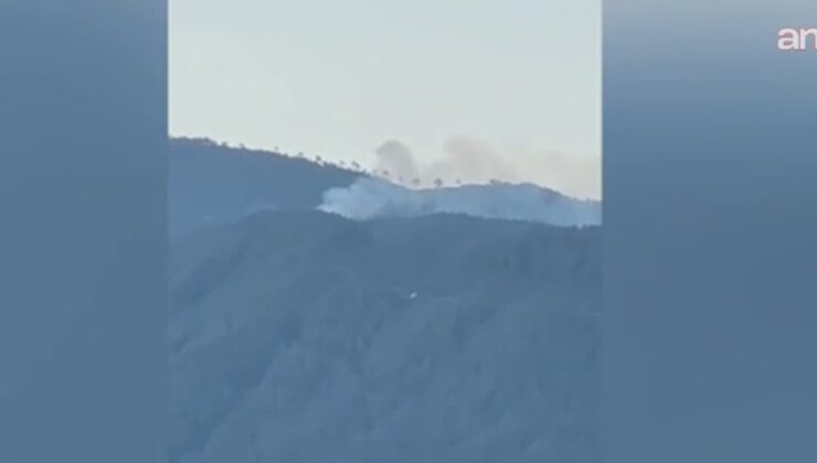 Osmaniye’de orman yangını! Alevler kontrol altına alındı