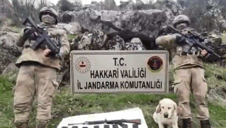 Yerlikaya: 6 ayda 144 mağara ve sığınak imha edildi