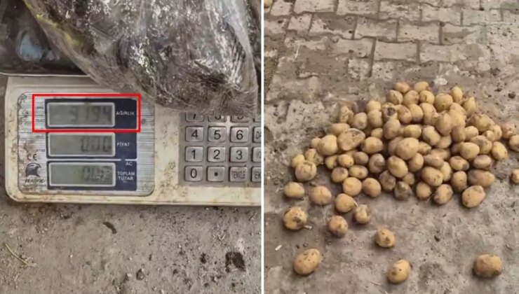 Ahlaksızlıkta son nokta: 22 kiloluk çuvaldan 13 kilo patates çıktı
