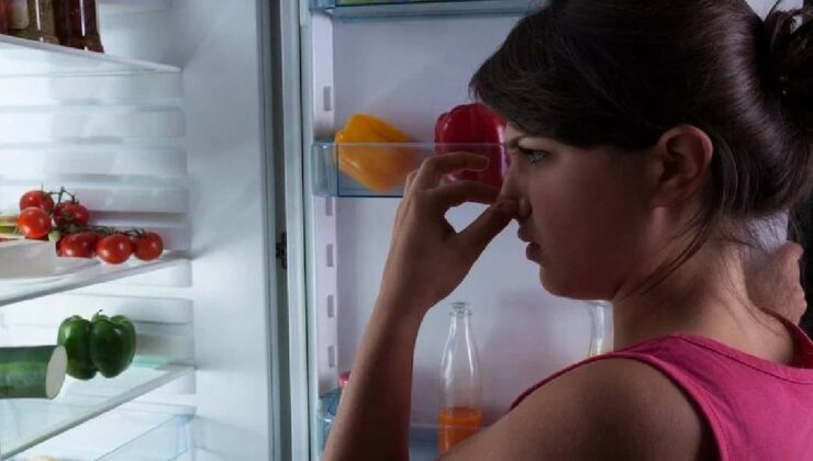 Buzdolabındaki kötü kokuları anında yok ediyor: Meğer bu kadar basitmiş