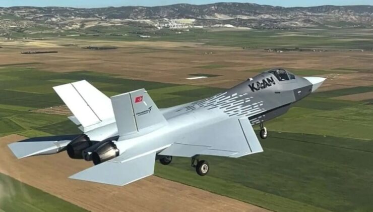 Doğan görünümlü şahin