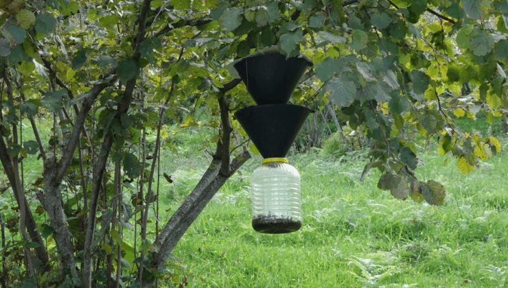 Dokunmak bile yetiyor: Cilt ve yüzdeki yaraların en büyük nedeni oldu