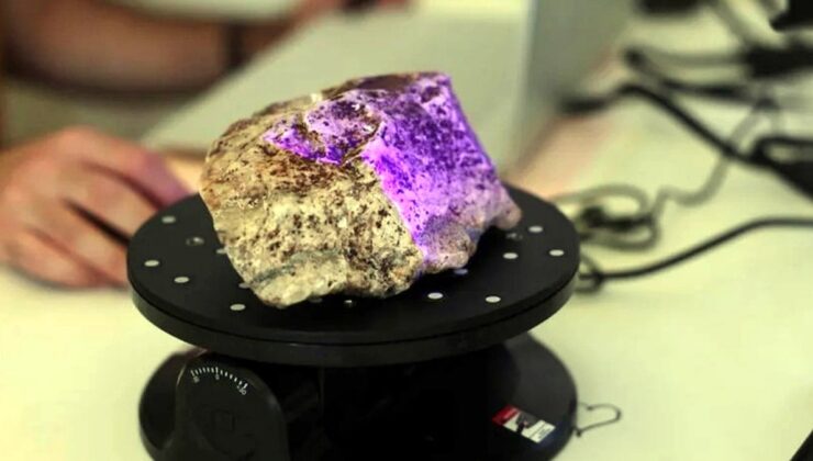 Ege’de heyecanlandıran keşif