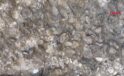 Erzurum’da 200 milyon yıllık deniz fosilleri bulundu
