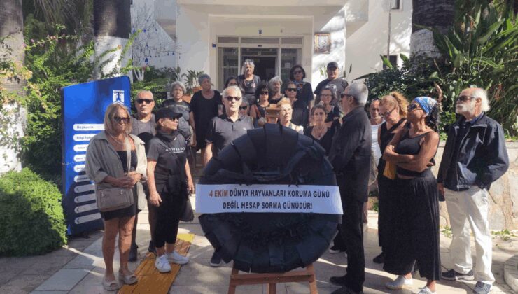 Hayvanların toplanmasını protesto ettiler belediyeye siyah çelenk bıraktılar