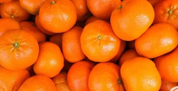 Herkes aynı soruyu soruyor: Turuncu mandalinalara ne oldu?
