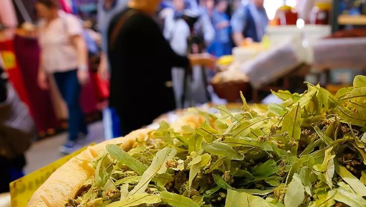 Ihlamurun fiyatı altınla yarışıyor