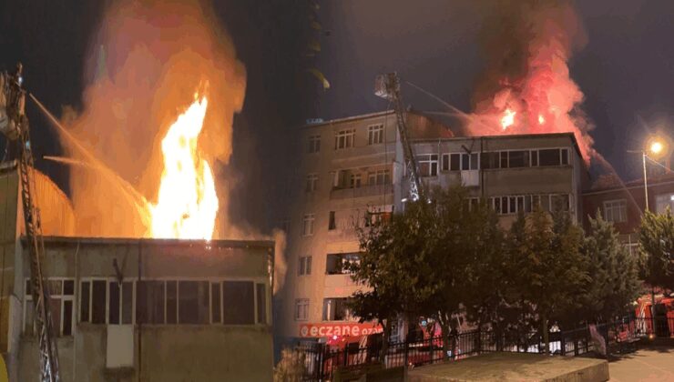 İş yerini kundaklayan kadın serbest kaldı: ‘O ben değilim’