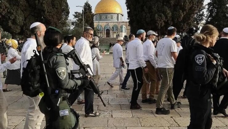 İsrailli yerleşimciler zeytin toplayan Filistinlilere sopalarla saldırdı