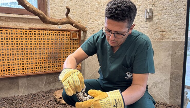 Konya’da rutin kontrolde cebinden piton çıktı