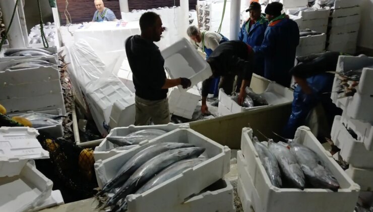 Palamut tutmak için denize açıldılar, milyoner olarak geri döndüler