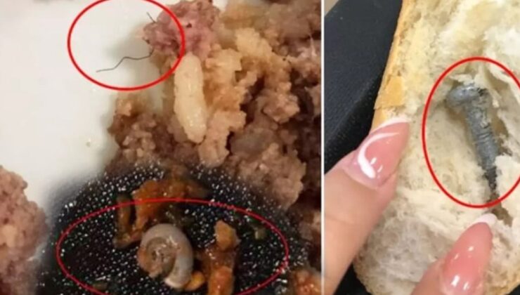 Salyangozlu patates, cıvatalı menemen, kıllı ciğer tava, vidalı ekmek… Önce siz yiyin beyler!