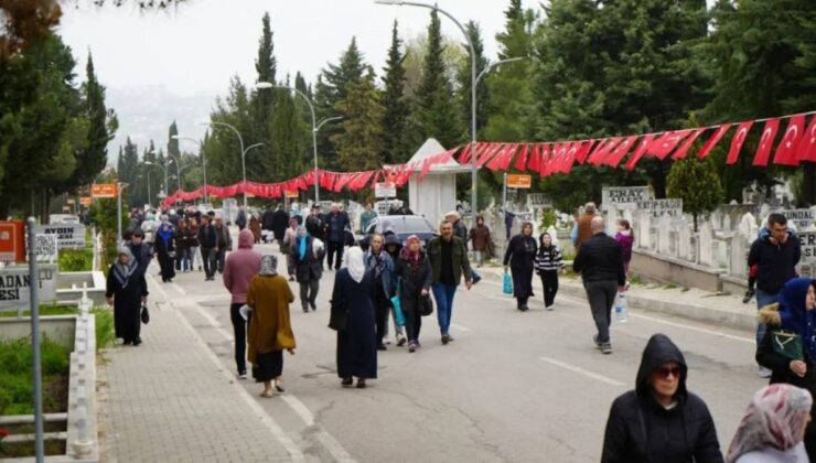 Samsun’da mezarlıkların ağaçlarını satışa çıkardılar