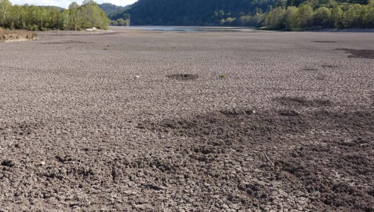 Suyu çekilince ikiye bölündü, hayvanların otlağı oldu