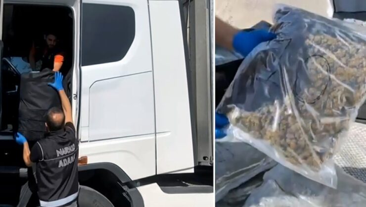 TIR’daki valizlerden 55 kilo skunk çıktı: ‘Arkadaşım rica etti’