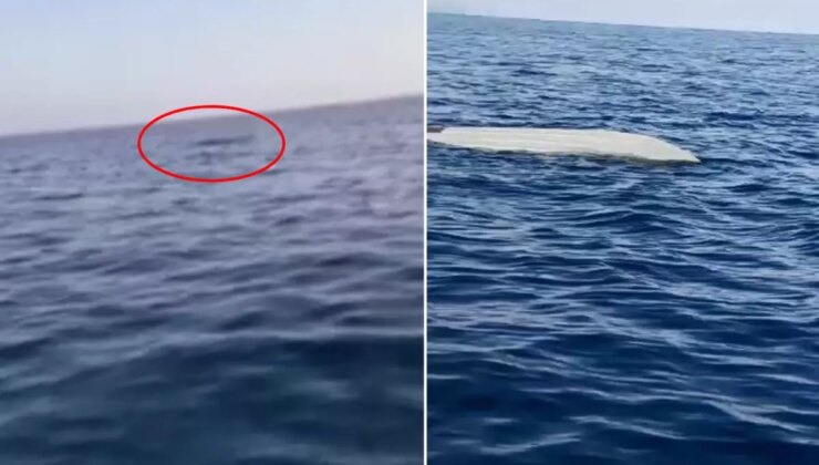 Trabzon’un ardından bir il daha alarma geçti! Balıkçılar buldu, inceleme başlatıldı