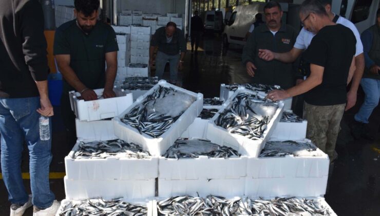 Türkiye’de tonlarcası tutuluyor, 19 ülke havada kapıyor