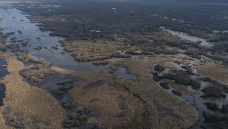 Türkiye’nin 3’üncü büyük longozu da kurudu