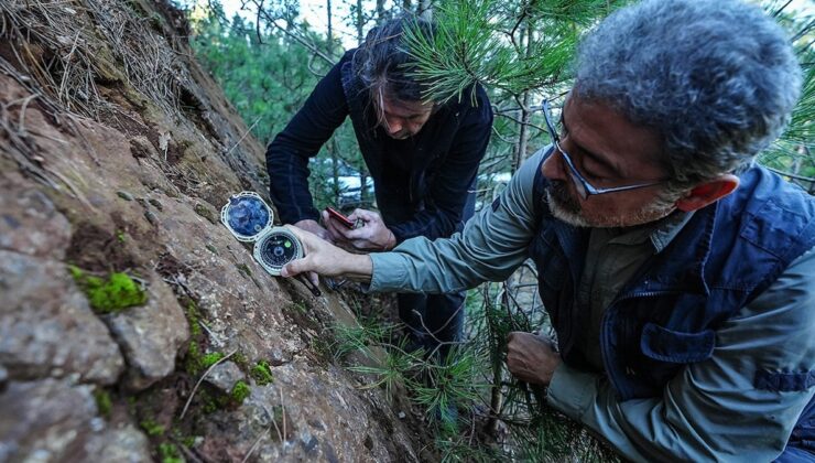 Ünlü deprem bilimciden korkutan uyarı: ‘Bu bölgede 6 fay daha tespit ettik’