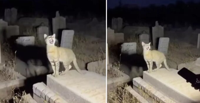 Yapay zekanın geldiği son nokta: Binlerce kişi gerçek sanıp paylaştı