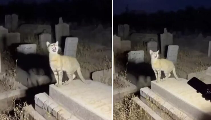 Yapay zekanın geldiği son nokta: Binlerce kişi gerçek sanıp paylaştı