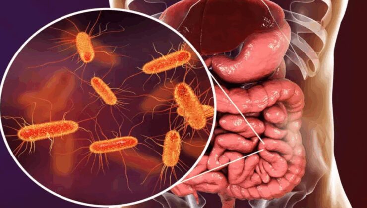 Yeni salgın 2 can aldı: En çok çocukları etkiliyor!