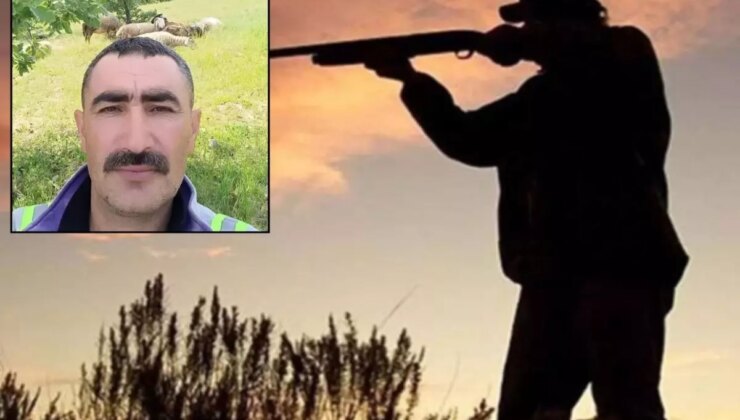 Avcı kurşununun hedefi oldu! Hayatını kaybetti