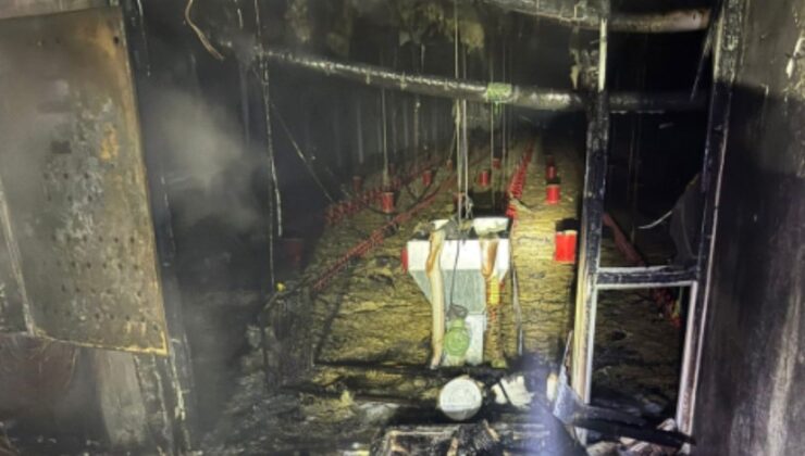 Balıkesir’de tavuk çiftliğinde çıkan yangında 5 bin civciv telef oldu