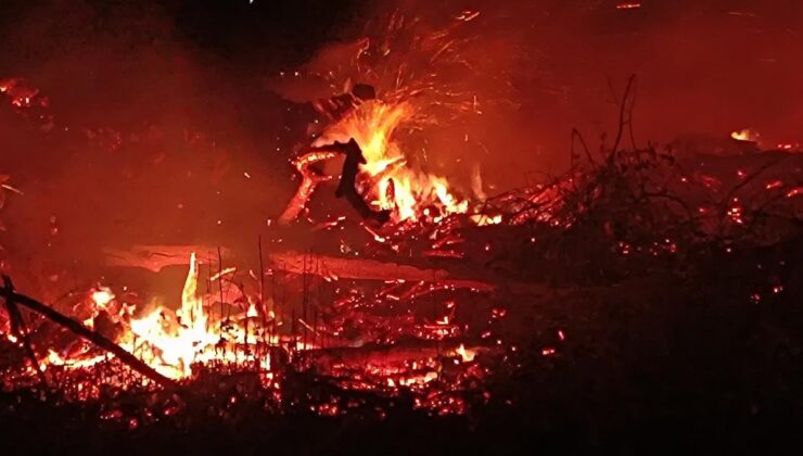 Bilecik’te arazide çıkan yangın söndürüldü