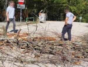 Bursa’da üzerine ağaç devrilen belediye işçisi yaşamını yitirdi