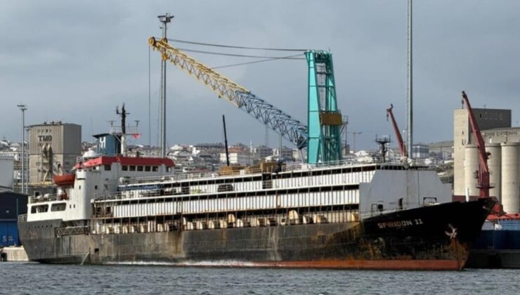 Denetimsiz büyükbaş hayvan yüküyle Bandırma’ya demirledi