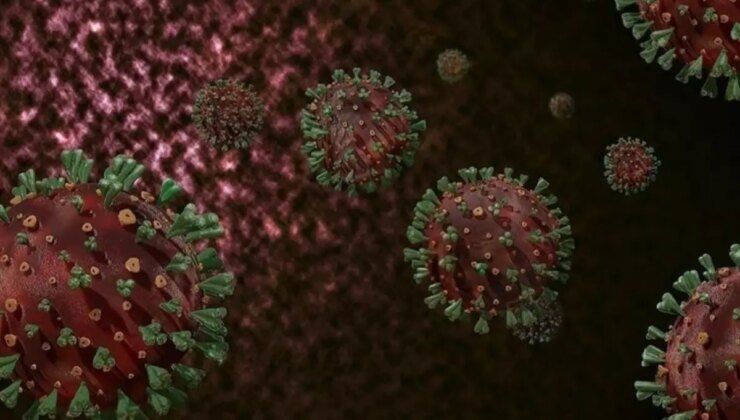 DSÖ’den M çiçeği uyarısı: Kıtayı aştı, hızla kontrol altına alınmalı