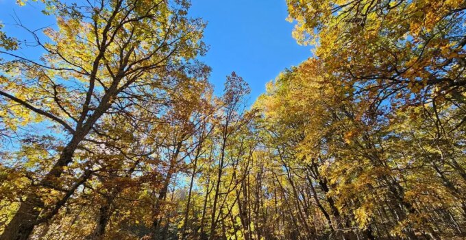 Dünyada bir tek Isparta’da var! İzinsiz girmenin cezası bir servet değerinde