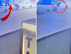 Emekli astsubay, sokak köpeğini tabancayla vurdu