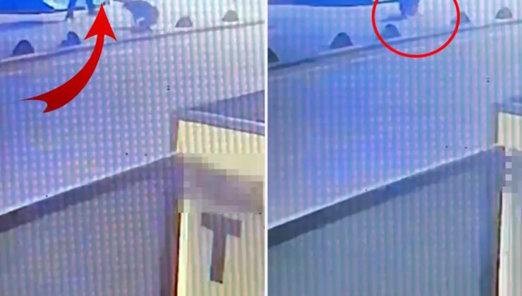 Emekli astsubay, sokak köpeğini tabancayla vurdu