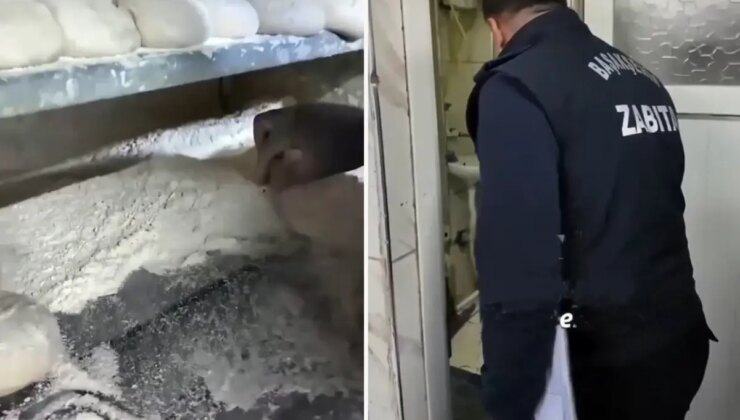 İstanbul’da ekmek fırınında mide bulandıran görüntüler