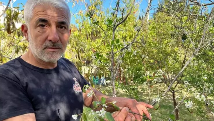 Kasım ayında çiçek açtı, 50 yıllık çiftçi bile şaşkınlığını gizleyemedi