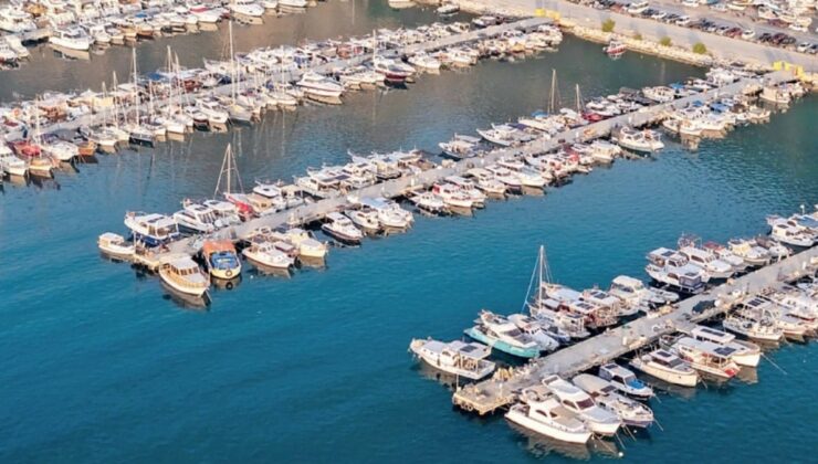 Kayyum bu kez barınağa çöktü