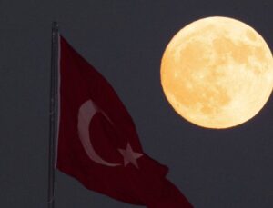 ‘Kunduz ayı’ Türkiye’yi büyüledi