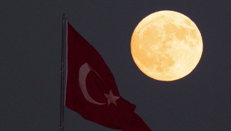 ‘Kunduz ayı’ Türkiye’yi büyüledi