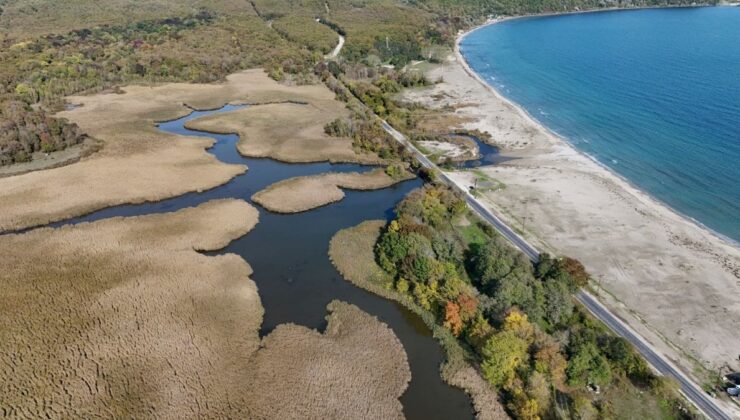 Mersin ve Sinop’tan sonra sıra o ilimize geldi: Üçüncü nükleer için cennet köşe tehlikede